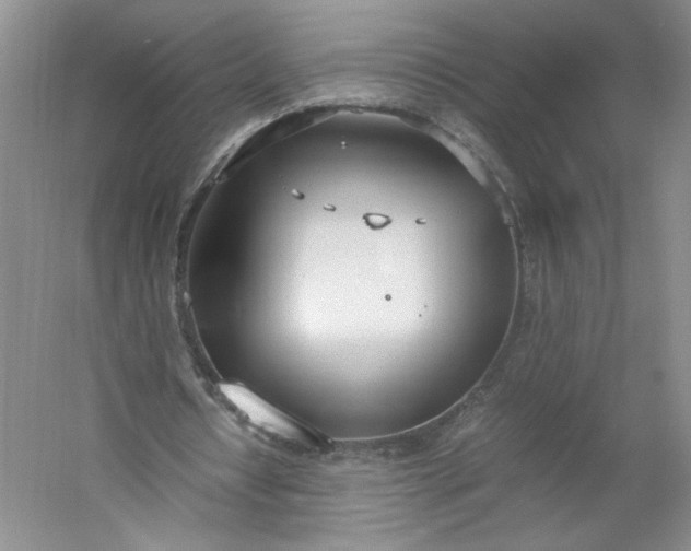 X0000053070434200507251504