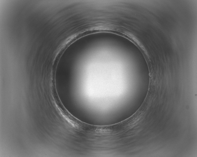 X0000053070437200507251504