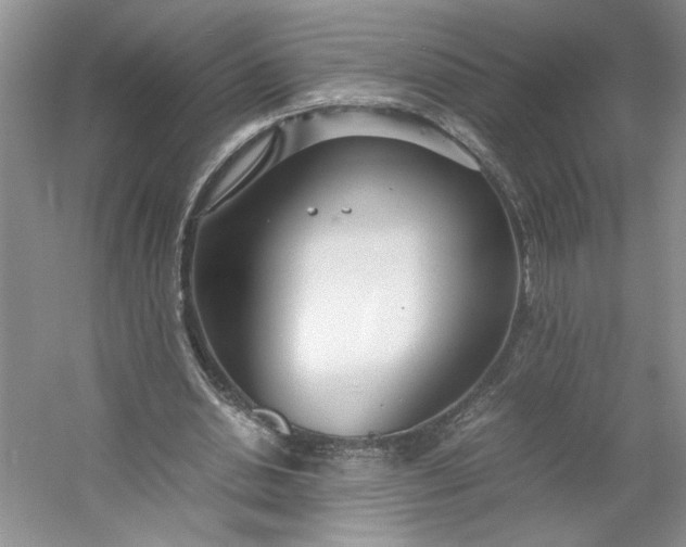 X0000053070438200507251504