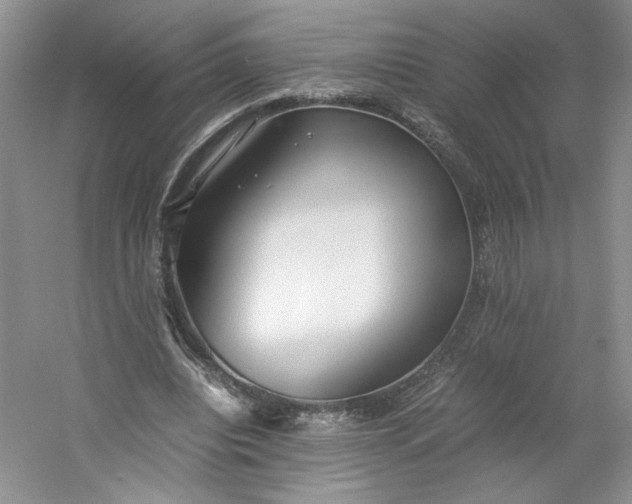 X0000053070440200507251504