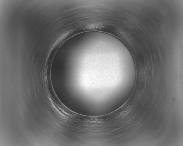 X0000053070443200507251504