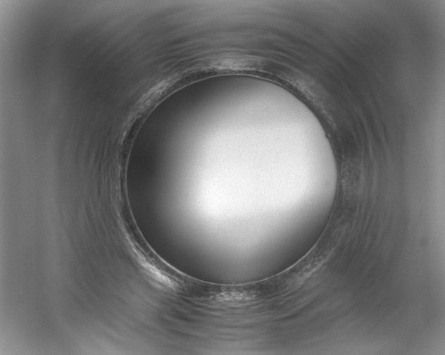 X0000053070445200507251504