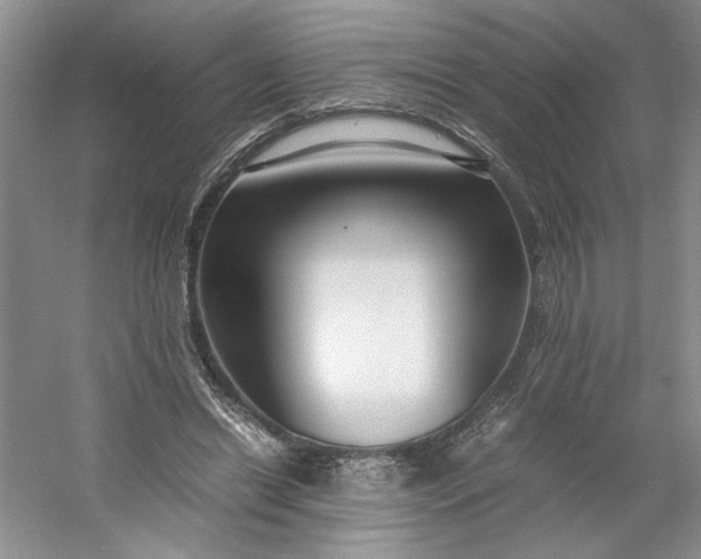 X0000053070446200507251504