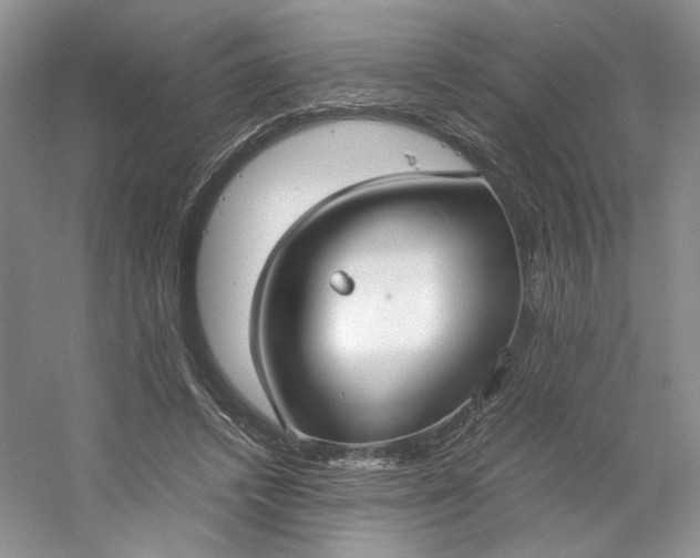 X0000053070448200507251504