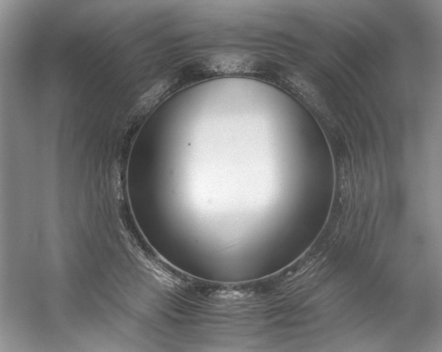 X0000053070453200507251504