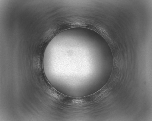 X0000053070457200507251504