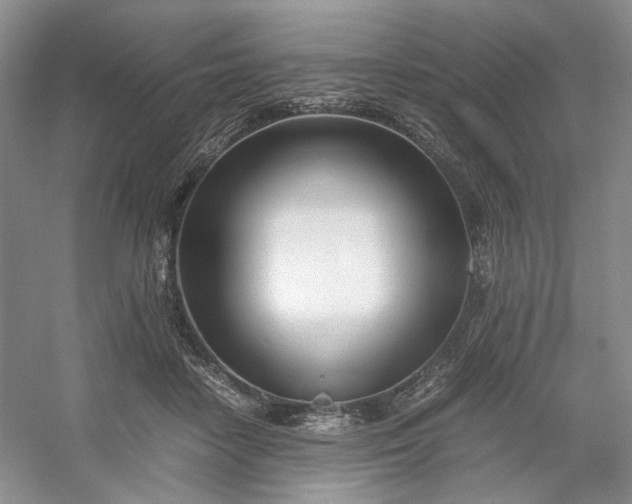 X0000053070458200507251504