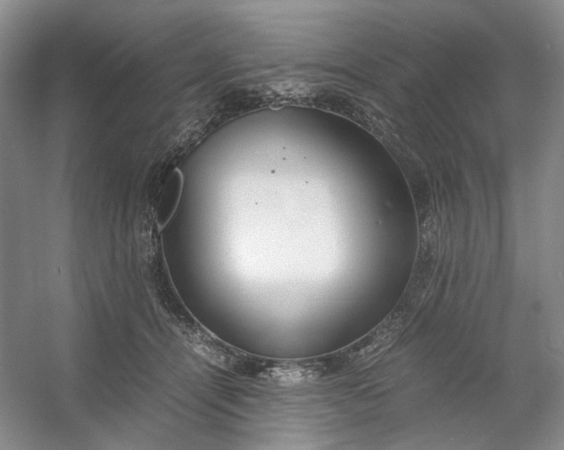 X0000053070464200507251504