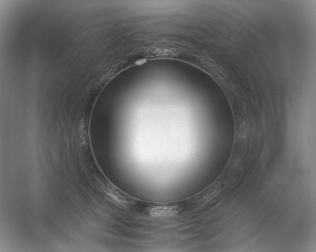 X0000053070465200507251504