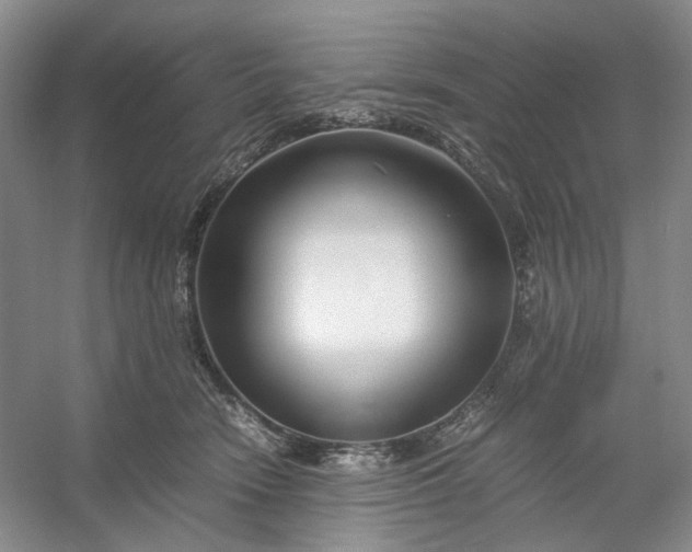 X0000053070466200507251504