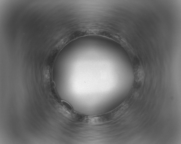 X0000053070472200507251504