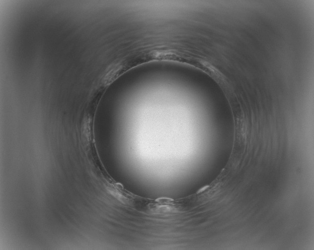 X0000053070475200507251504