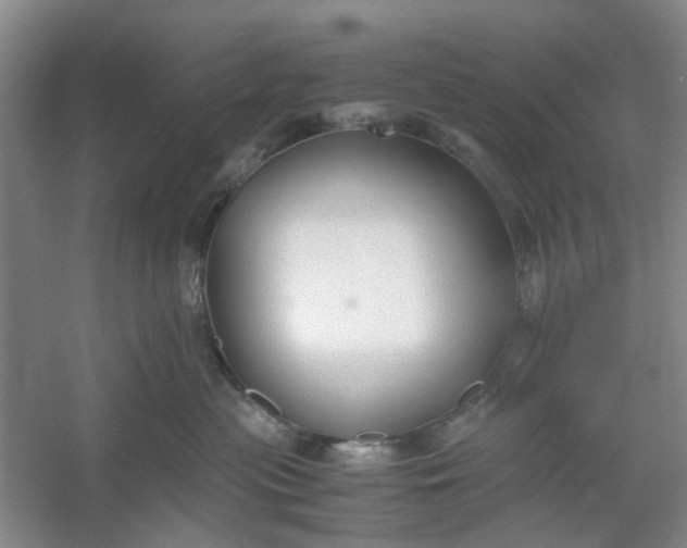 X0000053070477200507251504