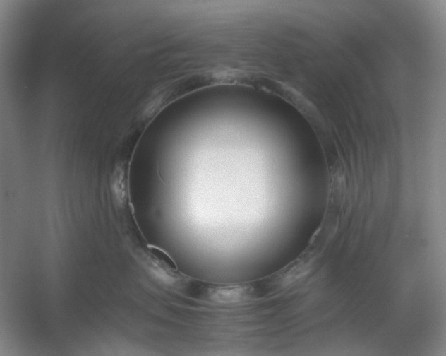 X0000053070479200507251504