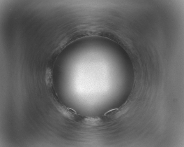 X0000053070480200507251504