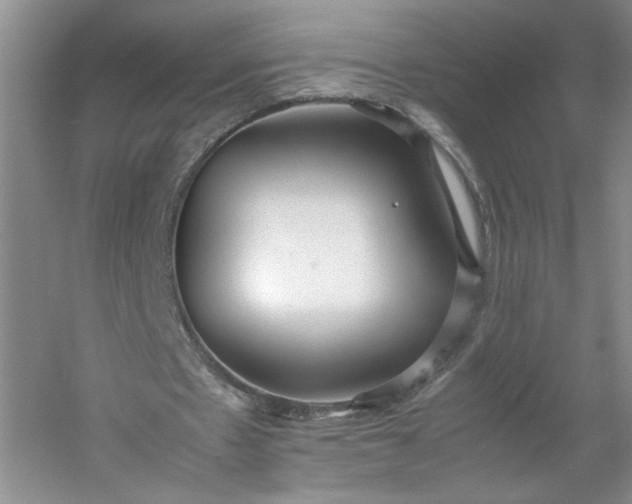 X0000053070481200507251503