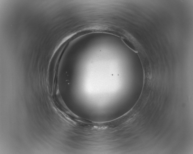 X0000053070484200507251503