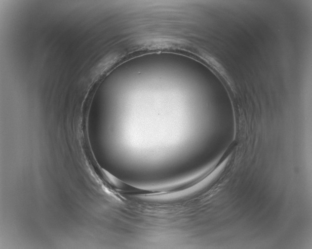 X0000053070485200507251503