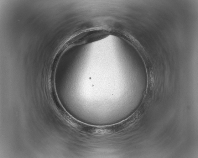 X0000053070487200507251503