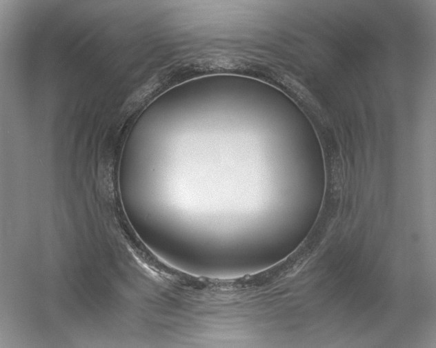 X0000053070489200507251503