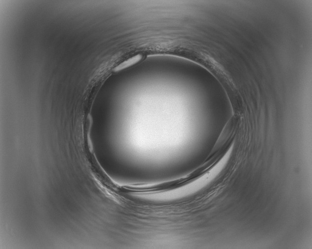 X0000053070493200507251503