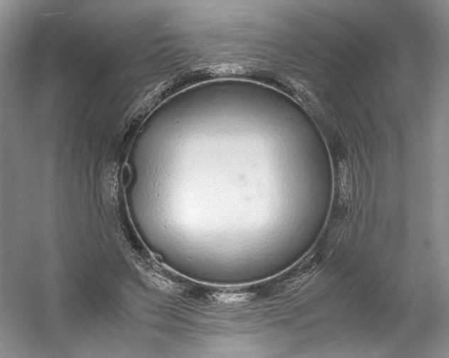 X0000053070495200507251503