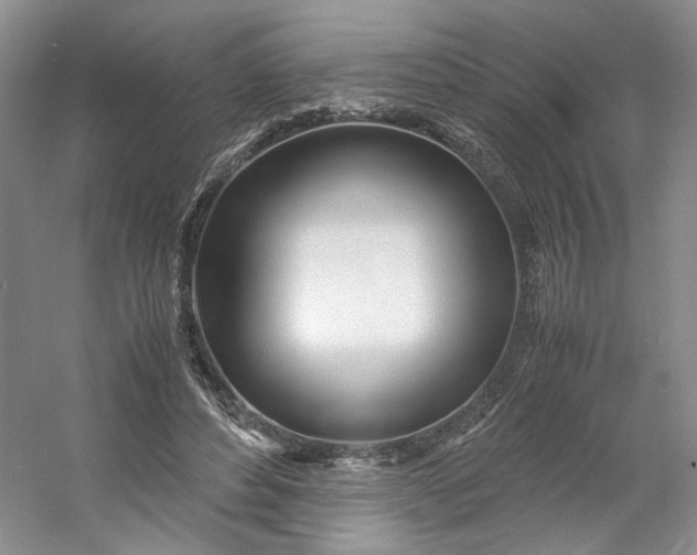 X0000053070496200507251503