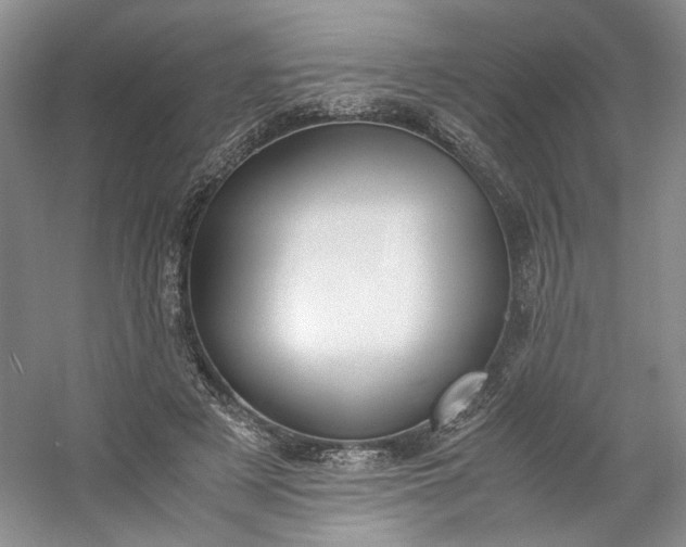 X0000053070497200507251503