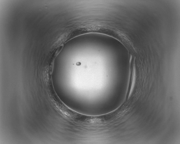 X0000053070501200507251503