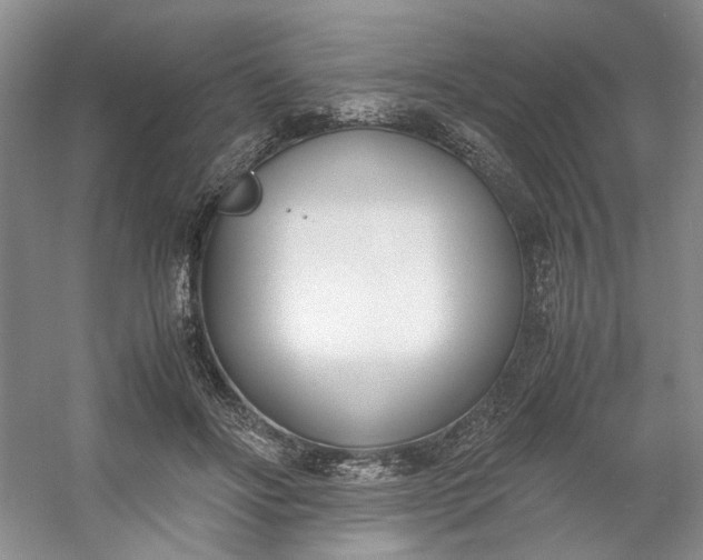 X0000053070502200507251503