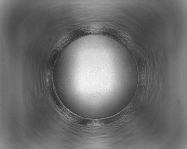 X0000053070503200507251503