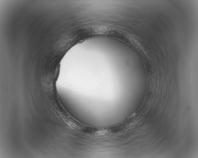 X0000053070505200507251503