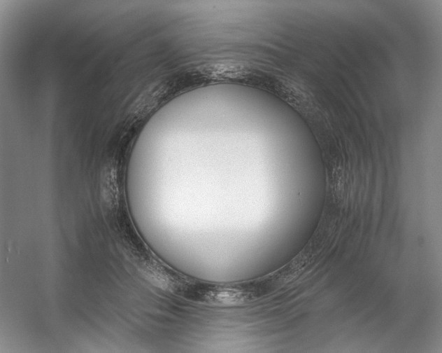 X0000053070506200507251503