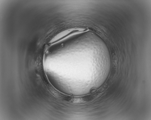 X0000053070507200507251503