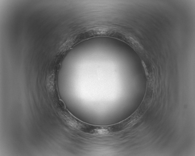 X0000053070509200507251503