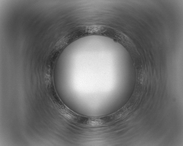 X0000053070510200507251503