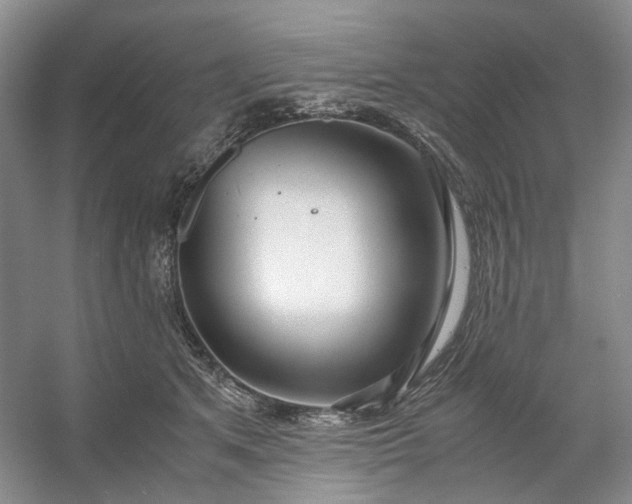 X0000053070513200507251503