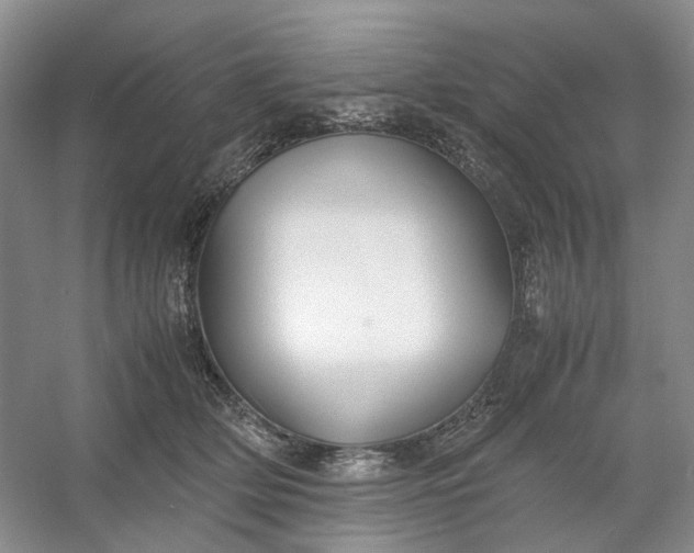 X0000053070514200507251503