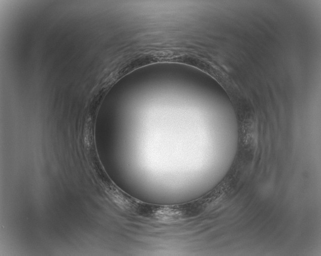 X0000053070515200507251503