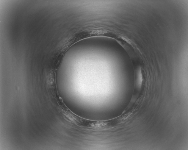 X0000053070517200507251503