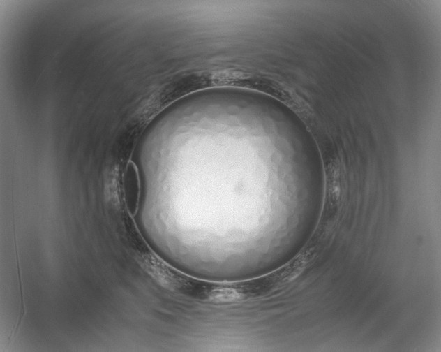 X0000053070519200507251503