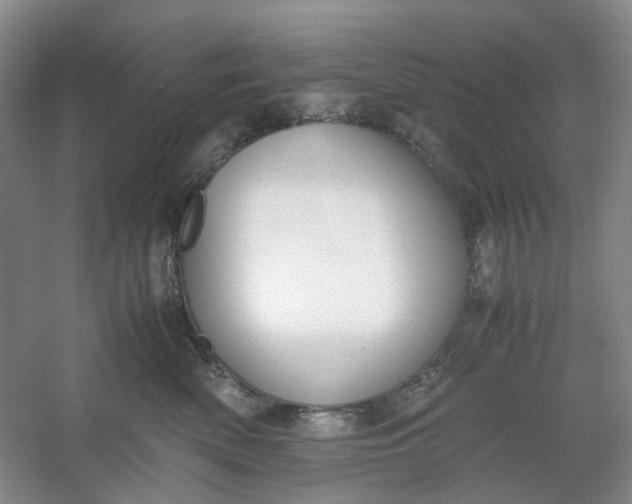 X0000053070522200507251503