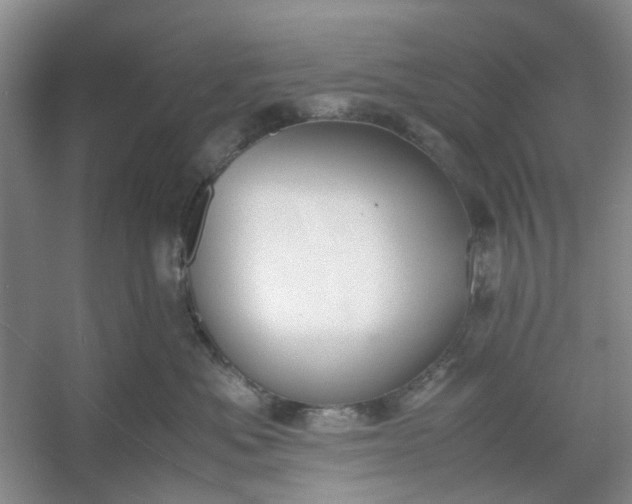 X0000053070525200507251503