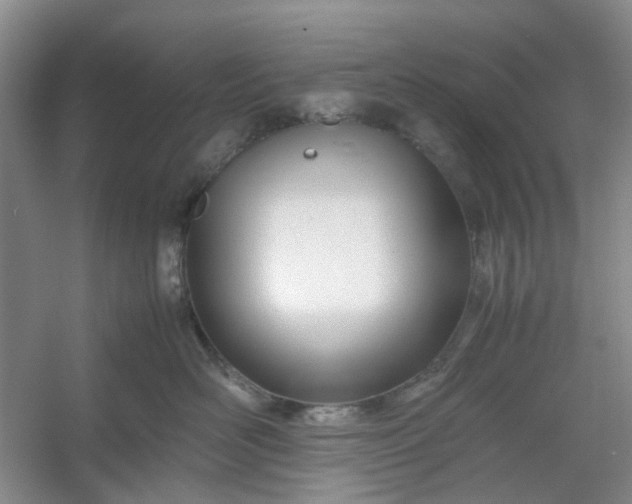 X0000053070526200507251503