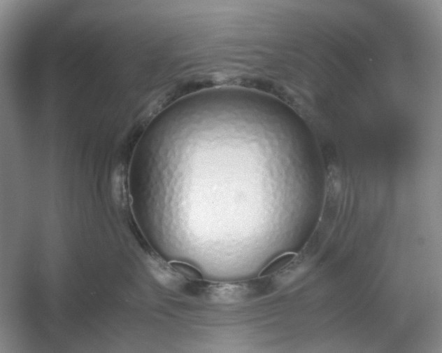 X0000053070527200507251503