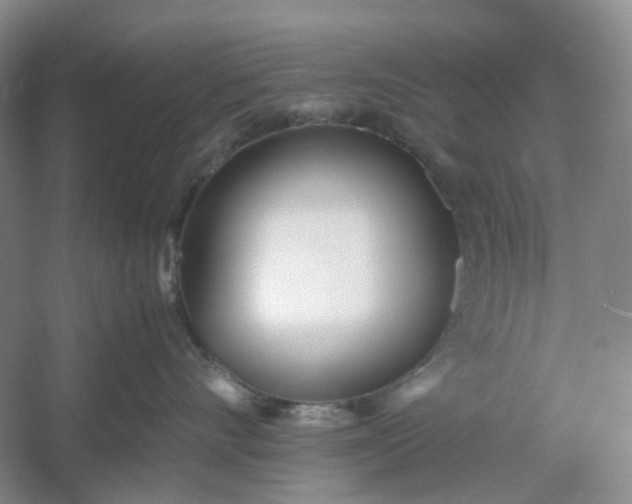 X0000053070528200507251503