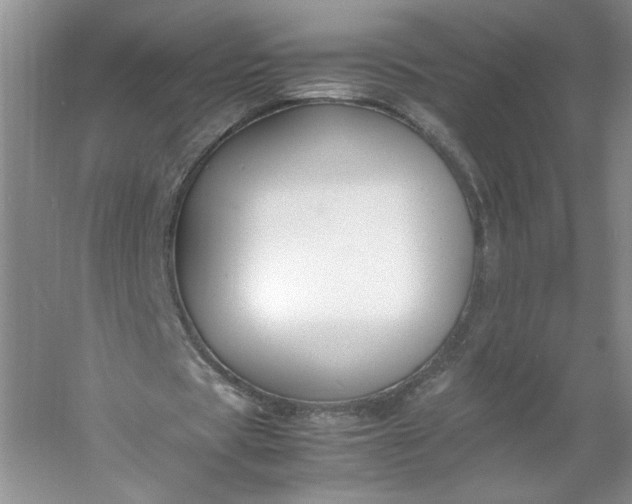 X0000053070529200507251502