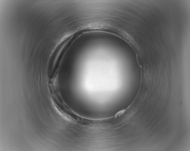 X0000053070530200507251502