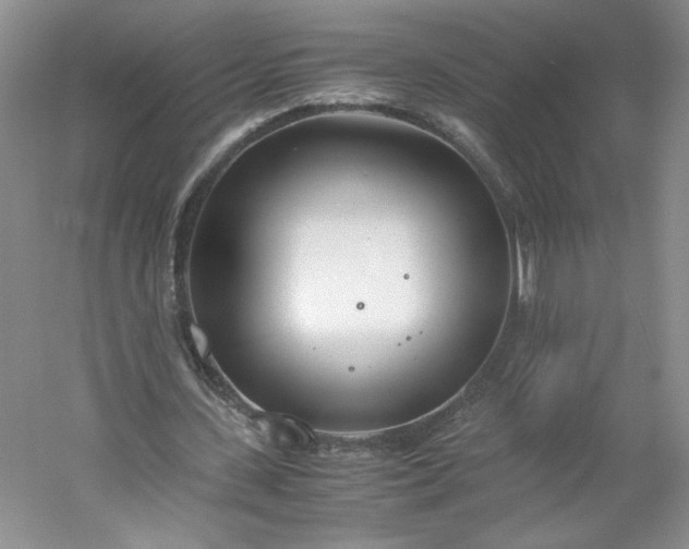 X0000053070531200507251502