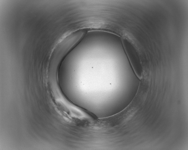 X0000053070532200507251502